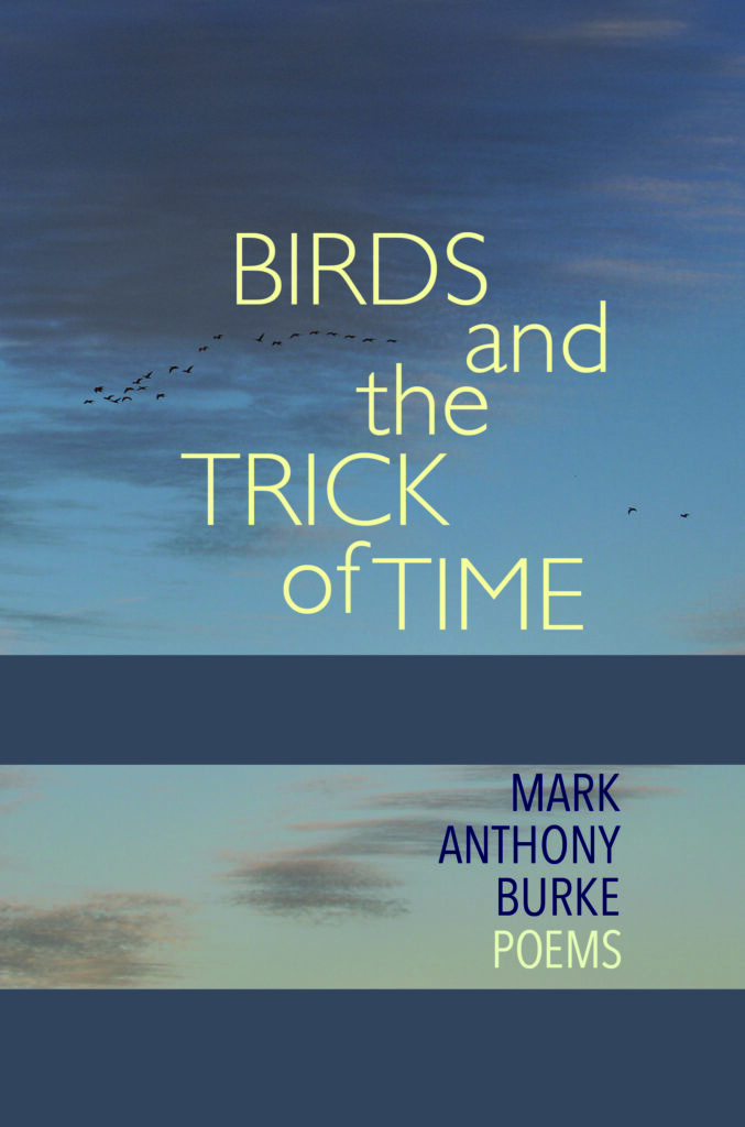 Cover of BIRDS AND THE TRICK OF TIME, by Burke