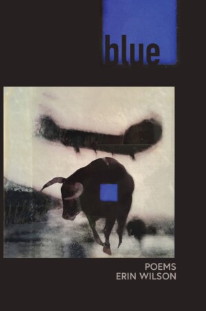 Cover Blue: Poems, by Erin Wilson